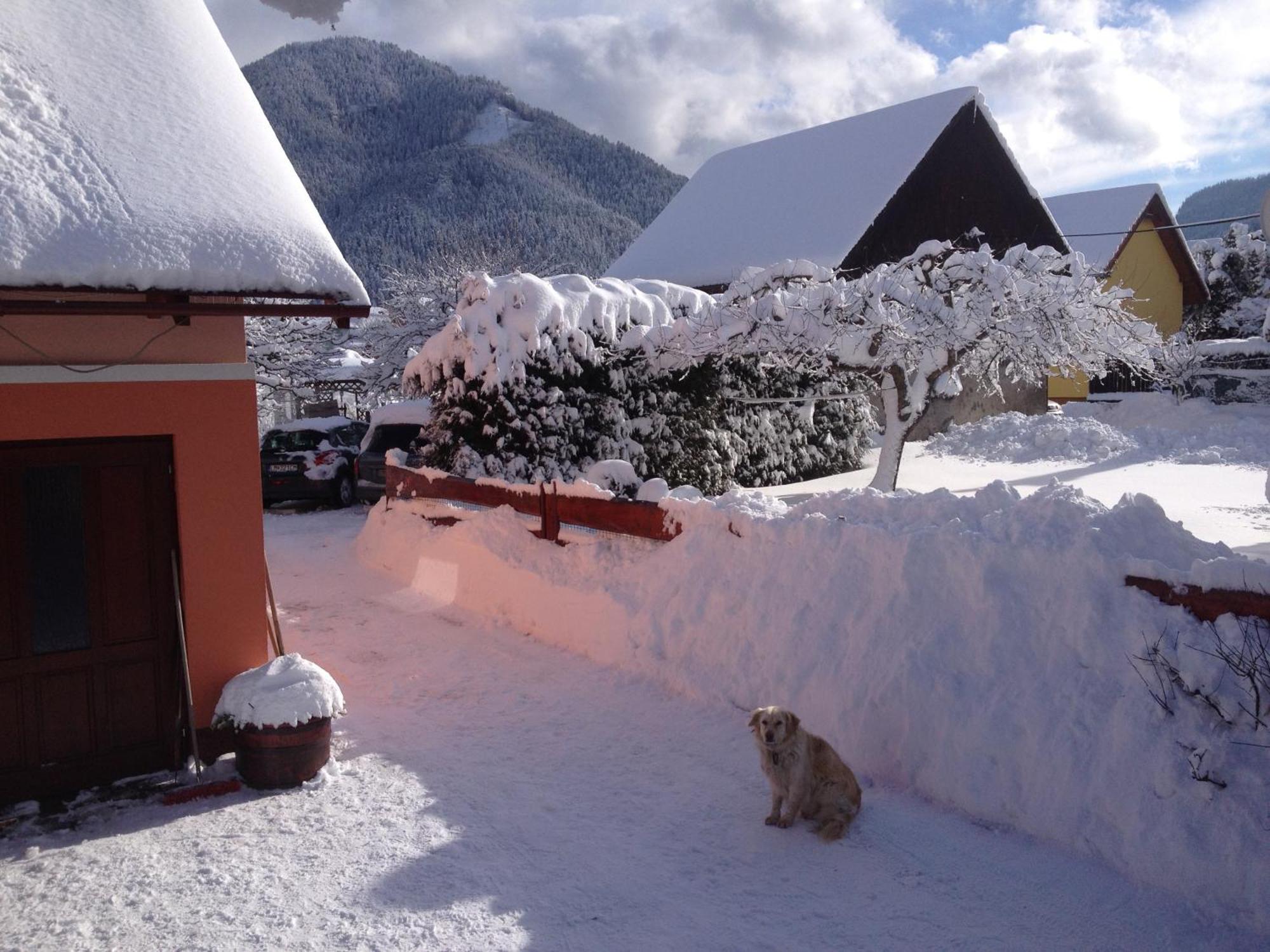 Agami T Villa Pavčina Lehota Dış mekan fotoğraf